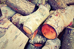 Conder Green wood burning boiler costs